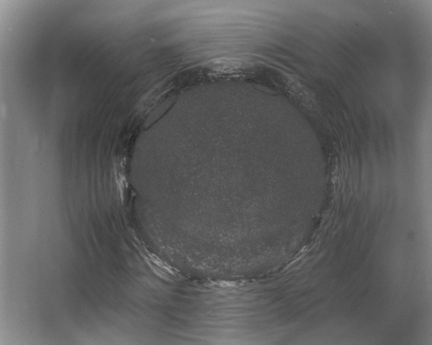 X0000063500868200601201410