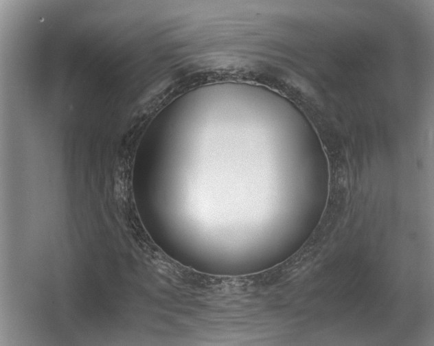 X0000063500869200601201410