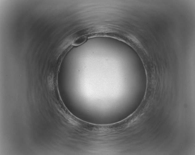 X0000063500873200601201410