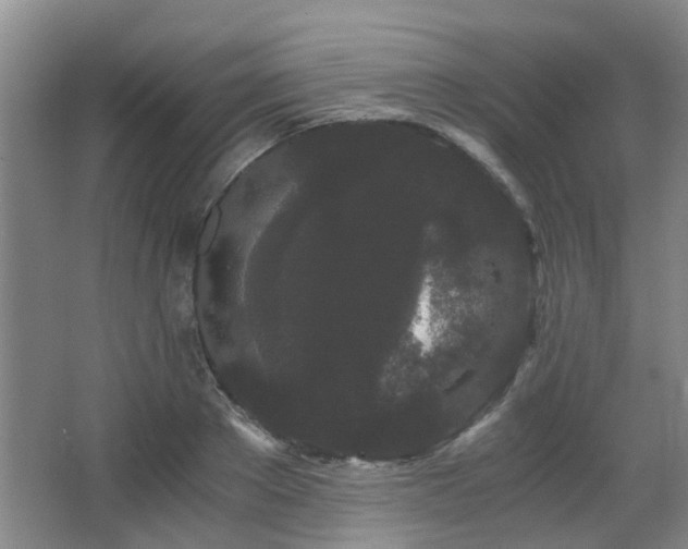 X0000063500889200601201410