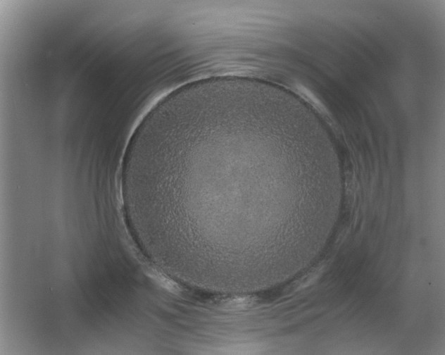 X0000063500891200601201410