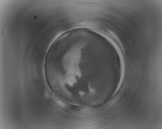 X0000063500899200601201409