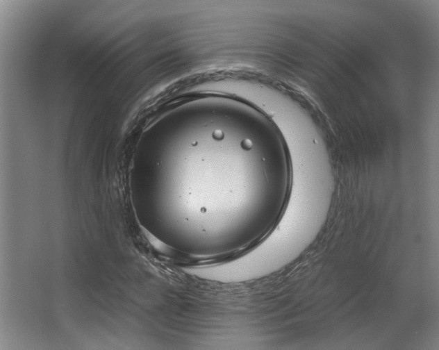 X0000063500920200601201408