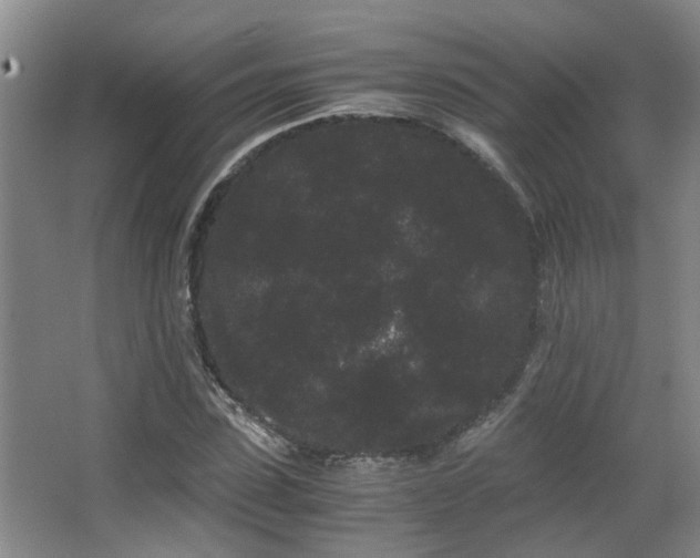 X0000063500923200601201409