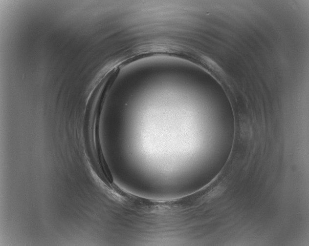 X0000063500938200601201409