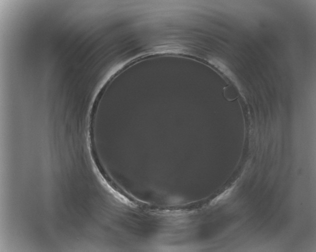 X0000063500941200601201409
