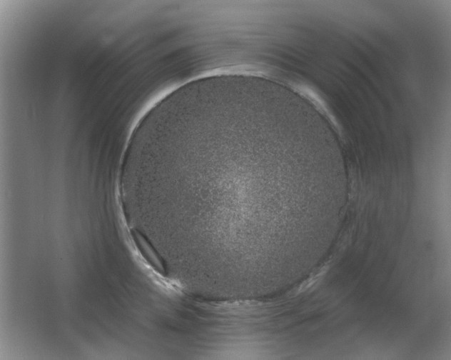 X0000063500952200601201409