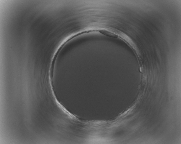 X0000063500958200601201409