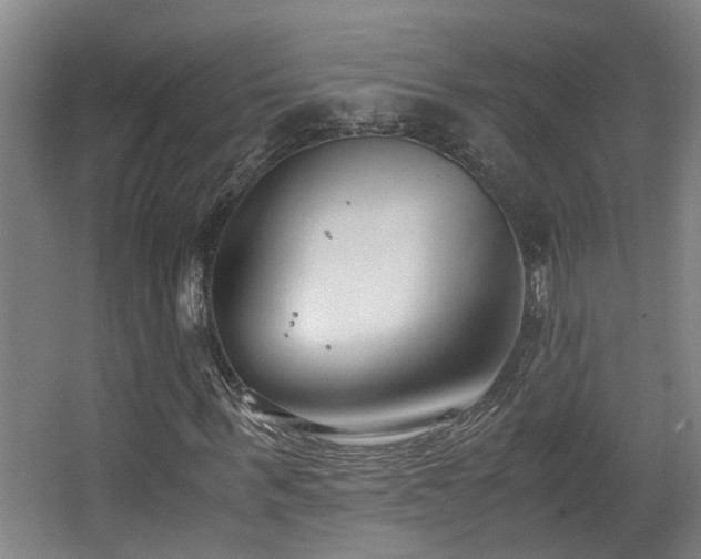 X0000063500963200601201408