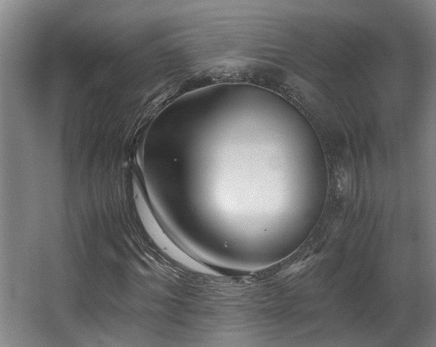 X0000063500964200601201408