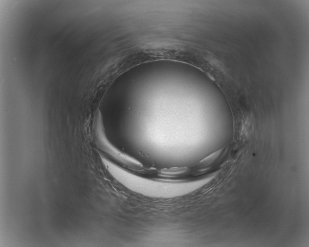 X0000063500965200601201408