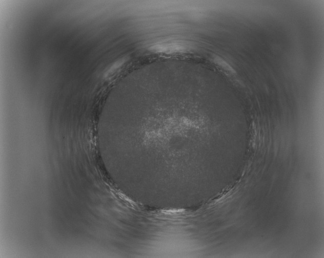 X0000063500966200601201408