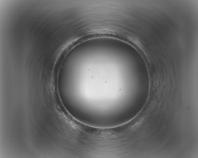X0000063500979200601201408