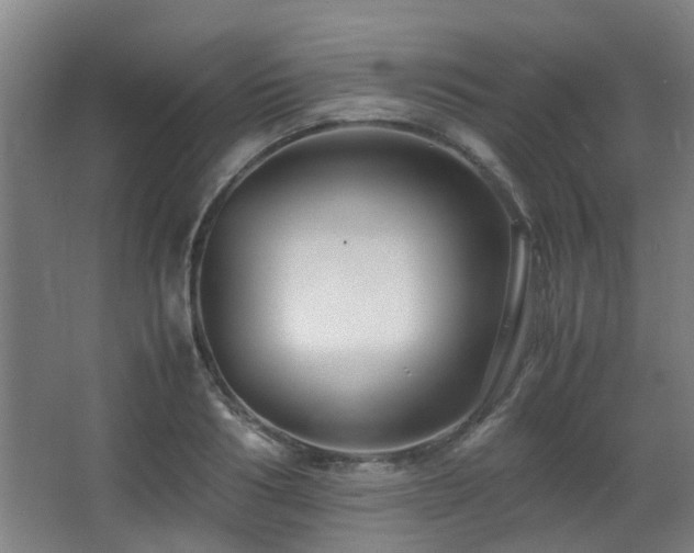 X0000063500986200601201408