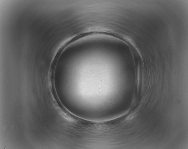X0000063500987200601201408