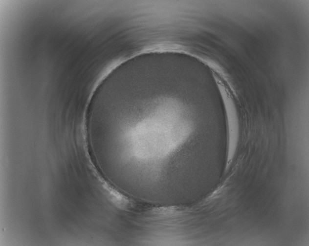 X0000063500990200601201408