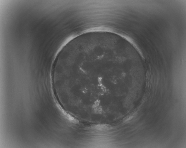 X0000063500998200601201408