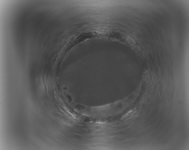 X0000063501009200601201407