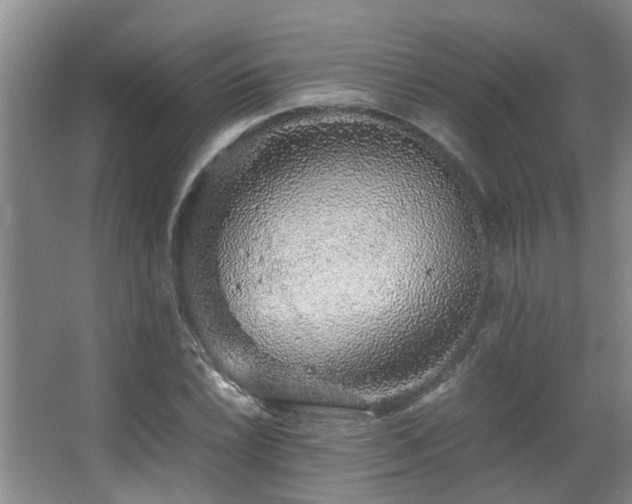 X0000063501022200601201407