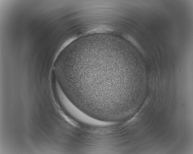 X0000063501026200601201407