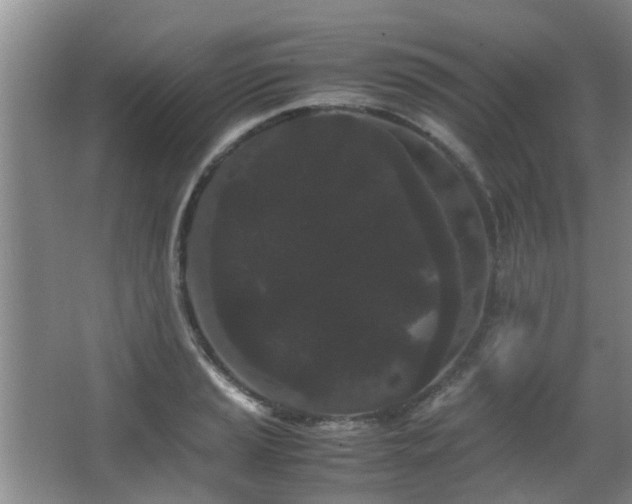 X0000063501037200601201407