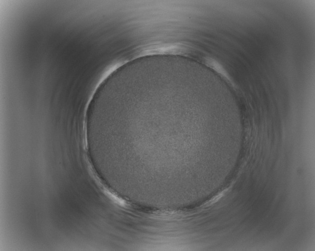 X0000063501079200601201406