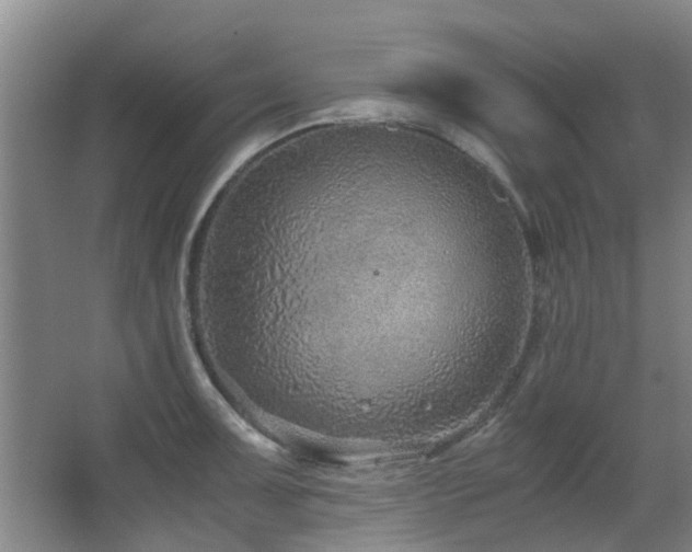 X0000063501091200601201406