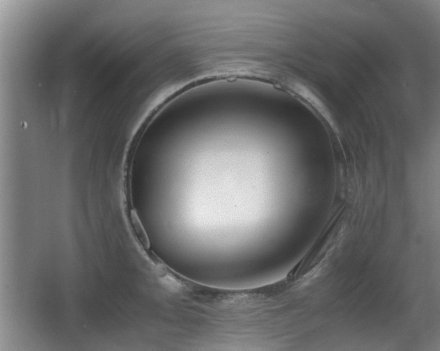 X0000063501093200601201406