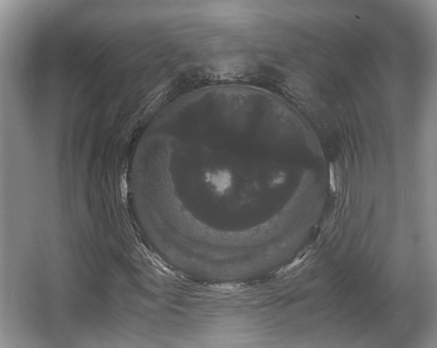 X0000063501155200601201405