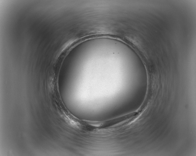 X0000063501163200601201405
