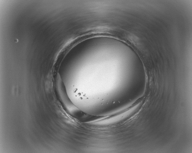 X0000063501164200601201405