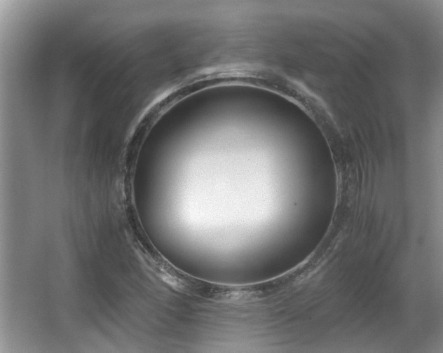 X0000063501166200601201405