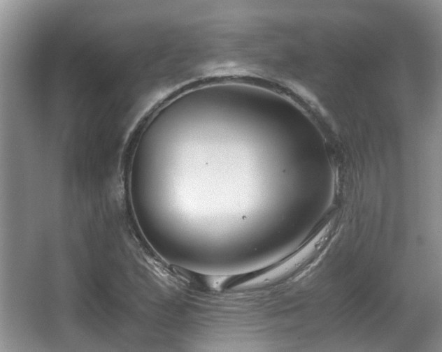 X0000063501167200601201405