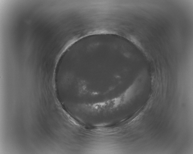 X0000063501173200601201405