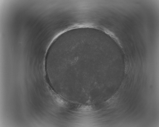 X0000063501174200601201405