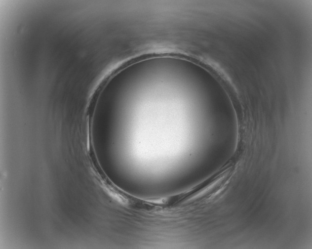 X0000063501175200601201405