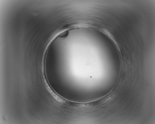X0000063501195200601201404