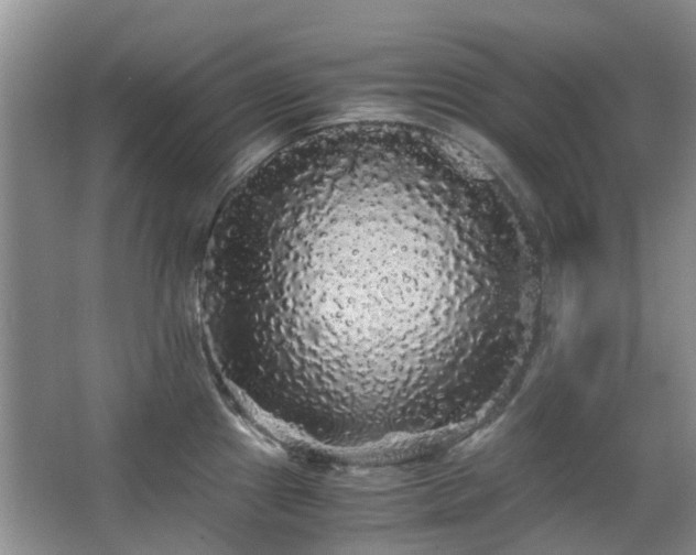 X0000063501241200601201404
