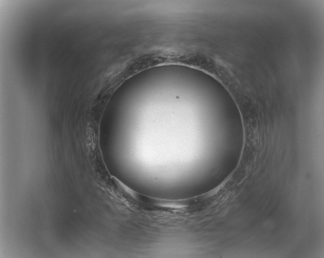 X0000063501253200601201403