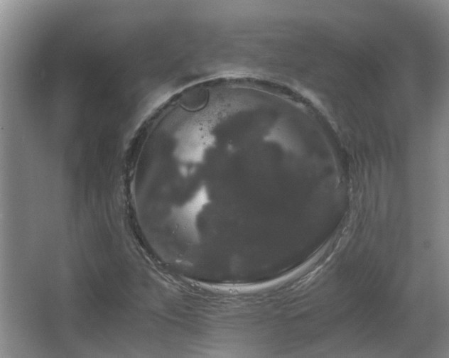X0000063501263200601201403