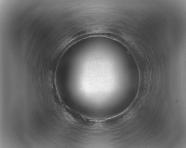 X0000063501265200601201403