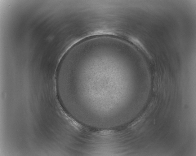 X0000063501268200601201403