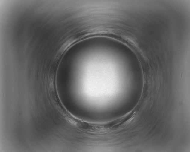 X0000063501273200601201403