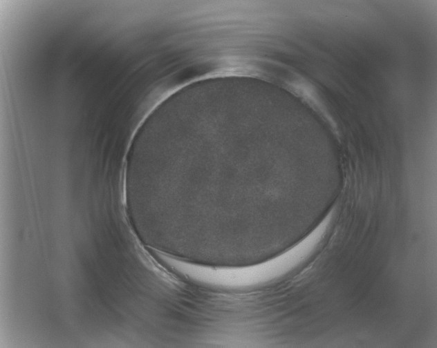 X0000063501276200601201403
