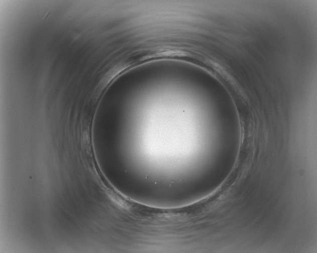X0000063501281200601201403