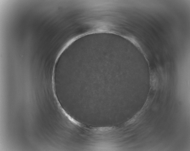 X0000063501294200601201403