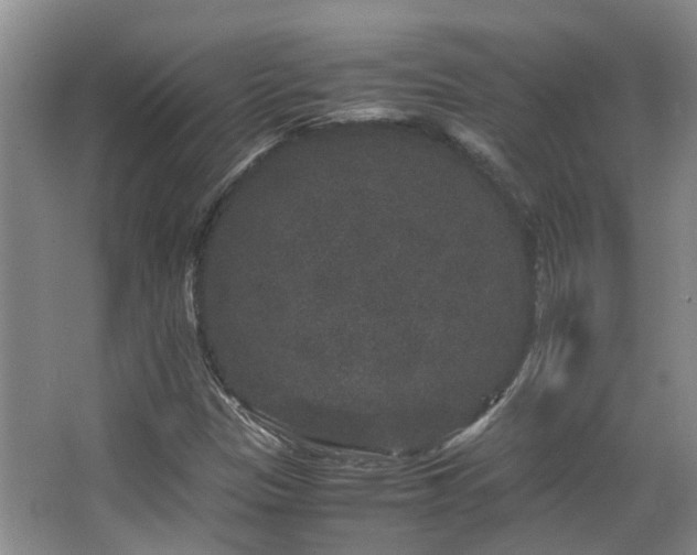 X0000063501305200601201402