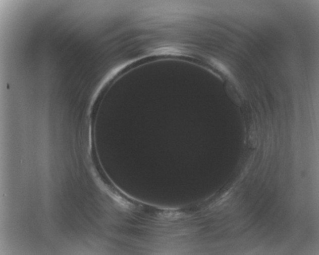 X0000063501323200601201402