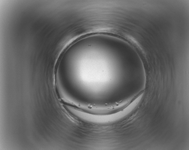 X0000063501324200601201402