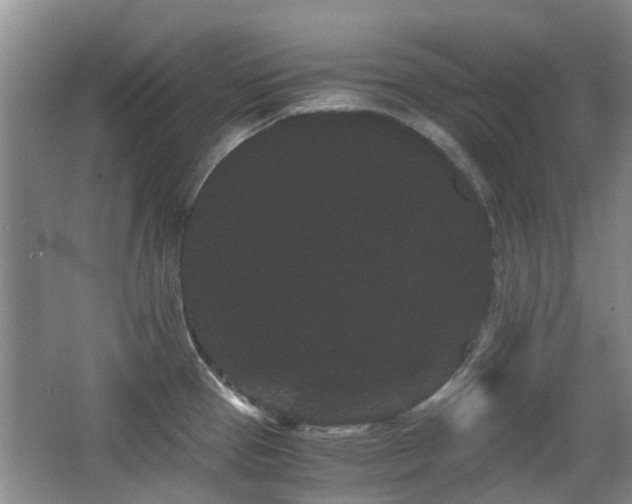 X0000063501337200601201402